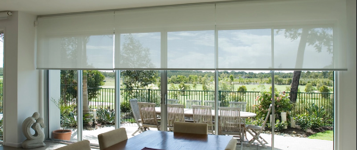 Sunscreen Roller Blinds